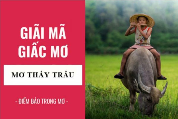 Giải mã giấc mơ trâu